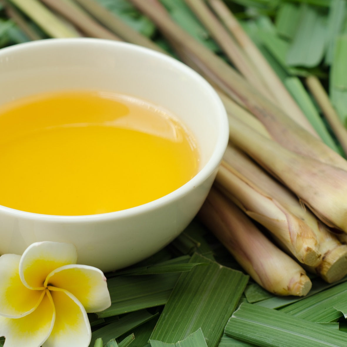 Citronella Fragrance Oil