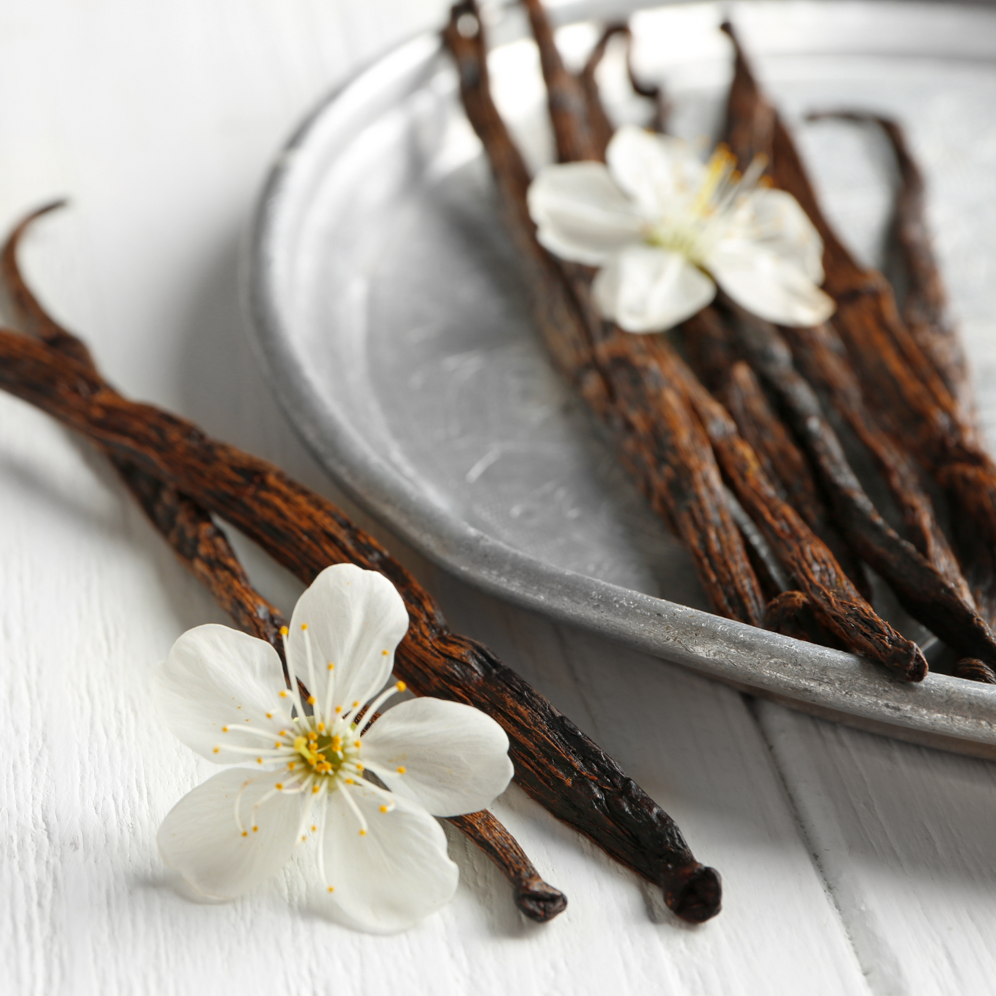 Vanilla Fragrance Oil