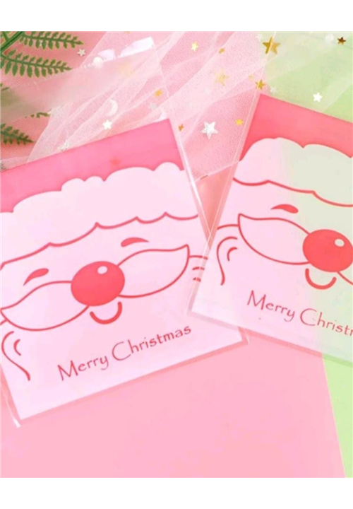 Christmas Packaging Bag 2