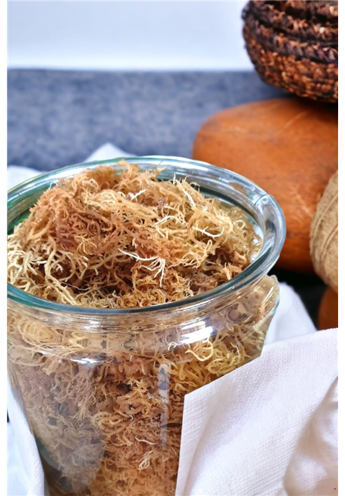 Raw Sea Moss (Wild Harvest)