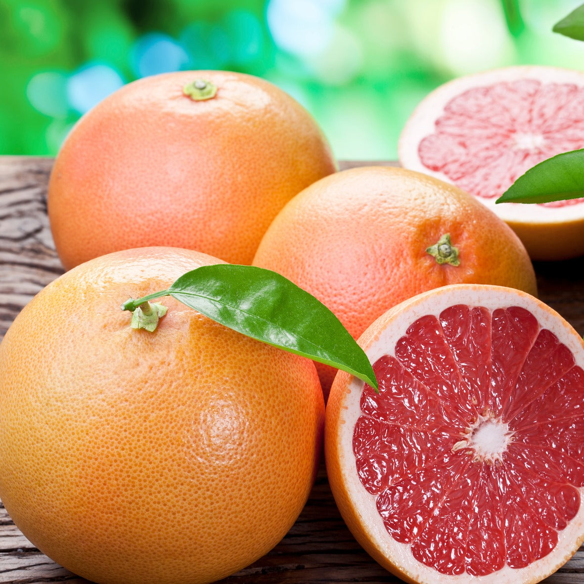 Grapefruit Fragrance Oil