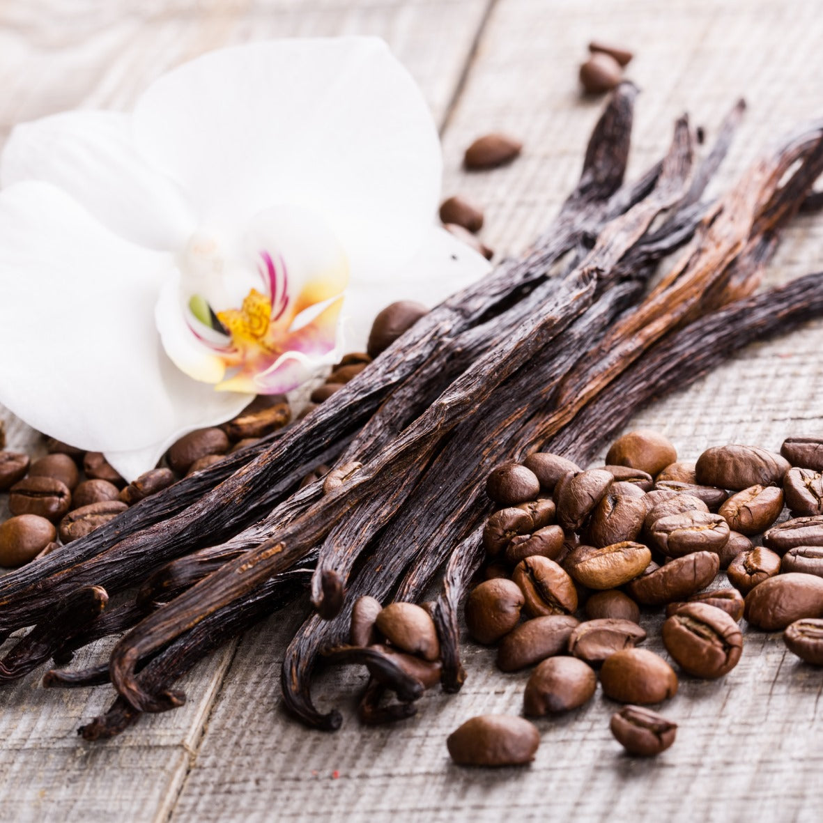 Vanilla Fragrance Oil