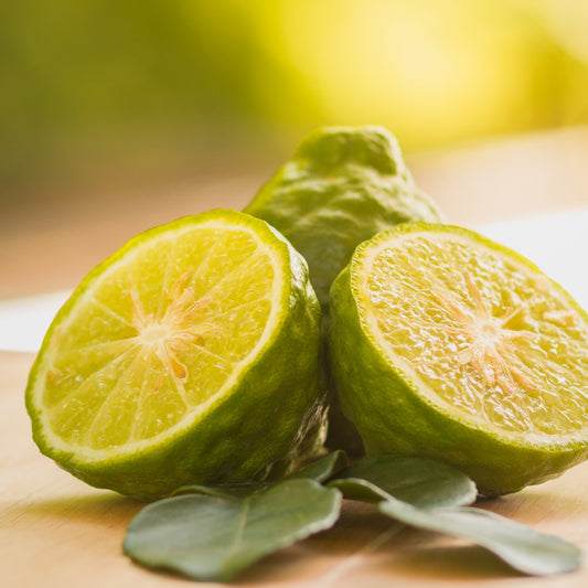 Bergamot & Cucumber Fragrance Oil