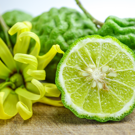 Bergamot & Cucumber Fragrance Oil