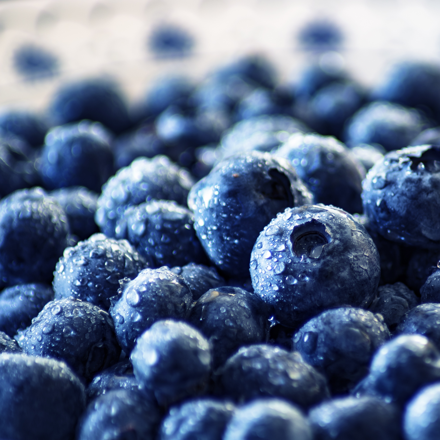 Blueberry Fragrance Oil