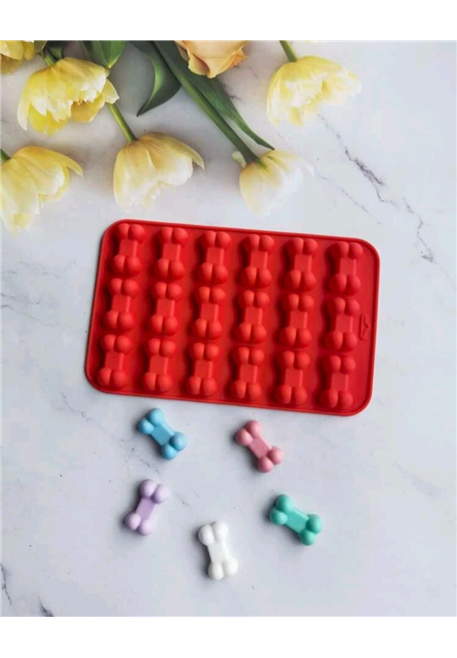 Bone Mould