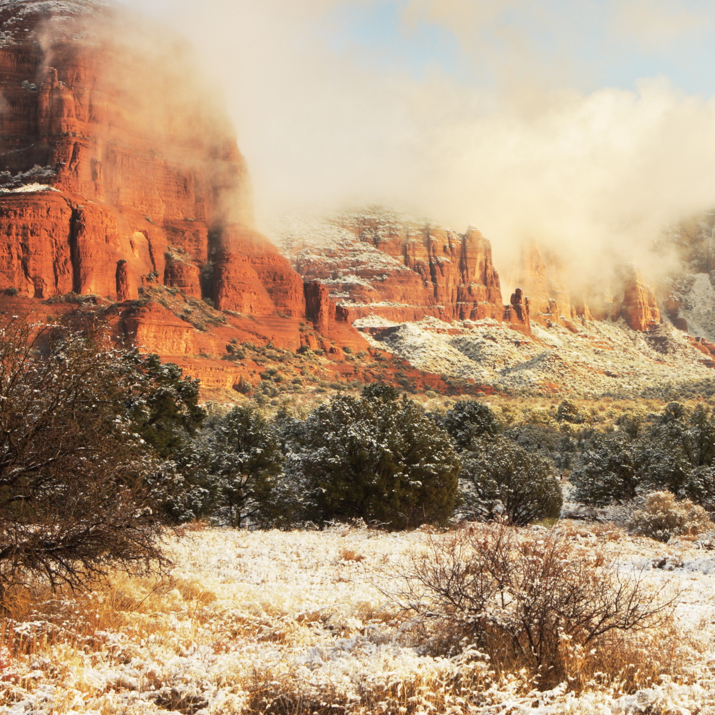 Desert Mist Fragrance Oil