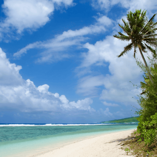 Ocean Breeze Fragrance Oil