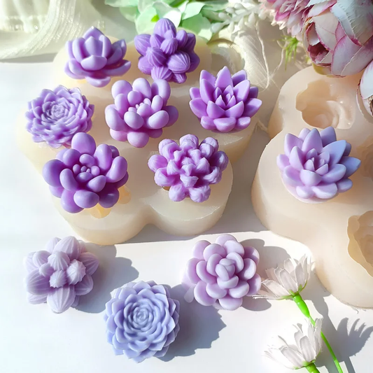 7 Cavity Mixed Succulent Mould