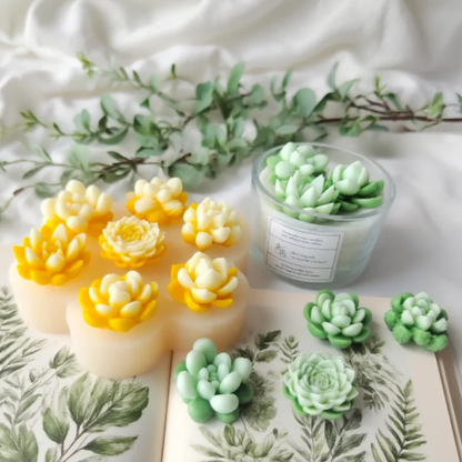 7 Cavity Mixed Succulent Mould