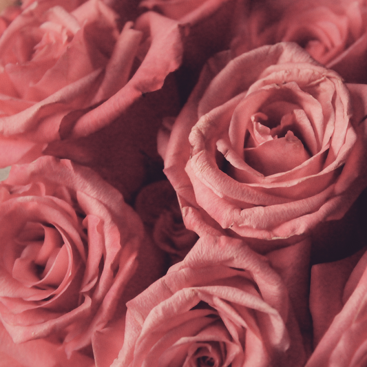 Rose Fragrance Oil